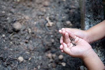 A child holds small seeds gently in both hands, ready for planting. This close-up captures the essence of early gardening, growth, and the nurturing start of sustainable living.