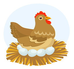 Chicken with eggs sits in straw nest. Bird nesting chicks from eggshells. Poultry farm. Domestic animals. Rural fowl. Countryside henhouse. Village livestock. Farming pet. Vector concept