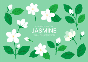Set of Hand-Drawn Jasmine Flowers with Blooms, Buds, and Leaves in Various Angles for Thailand Mother’s Day