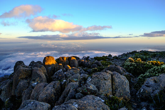 Dolerite Boulders on Summit of Mt Wellington