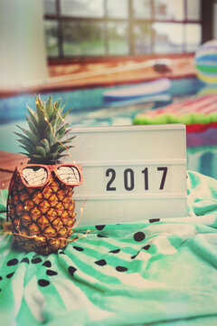 2017 lightbox with pineapple