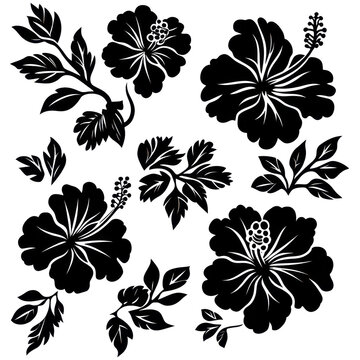 Fototapeta Hawaii tropical hibiscus flowers set, black stencil silhouette tattoo, black silhouettes of tropical hibiscus flowers, isolated on transparent background