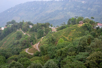 Picturesque Tea Garden with Zigzag Roads and Trails