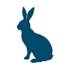 Fototapeta premium black rabbit isolated on white