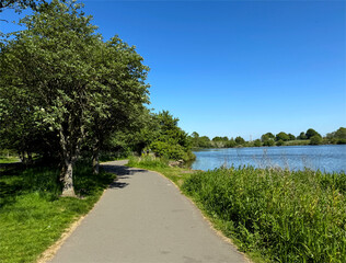 A paved path curves alongside a tranquil tarn, bordered by lush green grass and leafy trees. The...