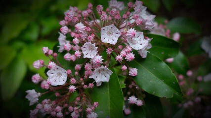 Twin Falls State Park in West Virginia