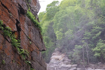 Cliff face in the mountains of Tennessee