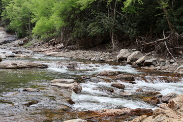 Rugged riverbank in the Tennessee Blue Ridge Mountains