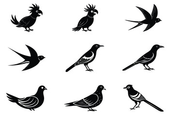 Obraz premium Art & Illustration Bird