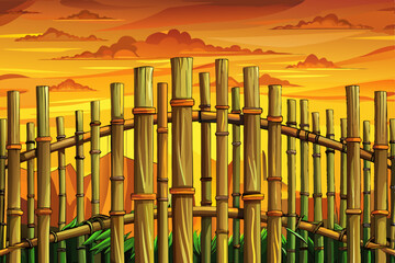 Obraz premium bamboo fence background at sunset time