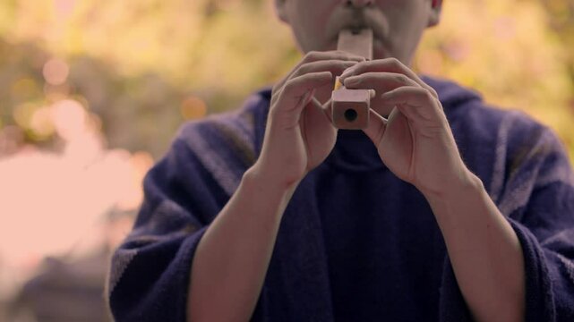 andean musician playing an indian flute, dressed in traditional indigenous clothing