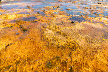 Geothermal pools in Biscuit Basin, Yellowstone Park. Wyoming, USA