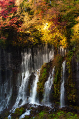 Shiraito Falls Cascading Amidst Lush Fujinomiya
