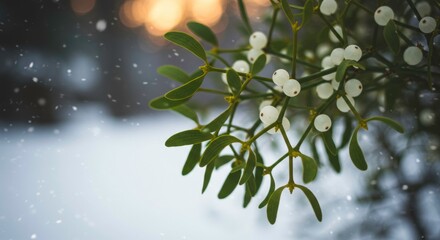 Winter magic unfolds mistletoe berries glisten under snowy skies a festive scene