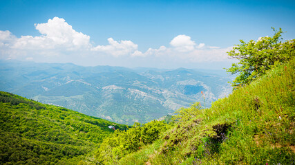 Stunning mountain view near Kojori, Georgia, featuring lush greenery, wildflowers, and vibrant sky, perfect for travel and nature concepts