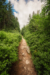Pilsko Ski Resort, located on the border of Slovakia and Poland, offering scenic tourist trail on Pilsko Mountain in the Beskids, Poland