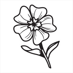 Obraz premium Phlox Flower Charm – Vibrant Garden Blooms in Soft Focus