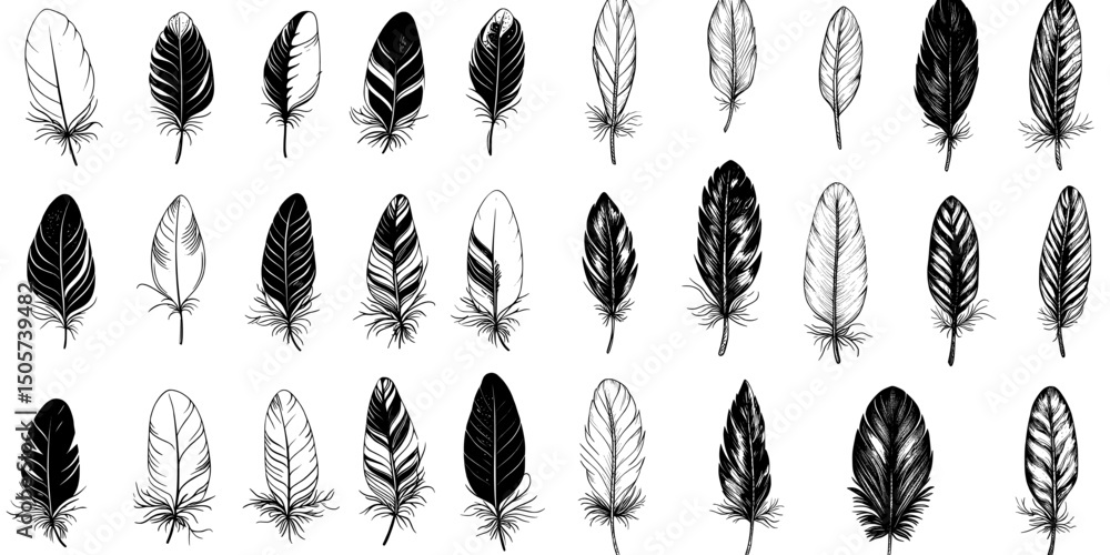 Poster a set of feathers drawn by hand, depicted as isolated modern items in a black and white color scheme