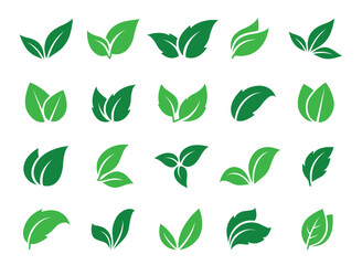 Green leaves branches icons set