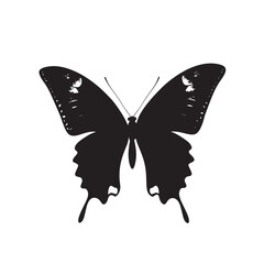 Beautiful tropical butterfly with colorful wings isolated on a clean white background