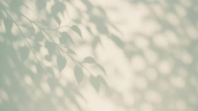 soft leafy shadows cast on light wall in natural sunlight, abstract organic background with pastel tones and empty copyspace, concept of eco design, natural lifestyle, product branding