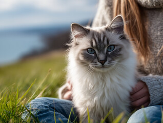 Grey ragdoll cat and girl holding him and sitting on green grass in spring landscape with sea in the background, view in natural light with shallow depth of field, realistic outdoor animal portrait