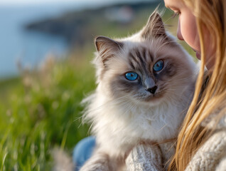 Grey ragdoll cat and girl holding him and sitting on green grass in spring landscape with sea in the background, view in natural light with shallow depth of field, realistic outdoor animal portrait