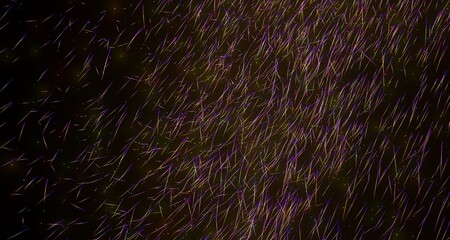 Abstract Colorful Lines on Black Background