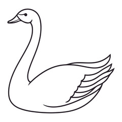 swan, animal, vector, transparent background, love, heart, valentine, symbol, romance, shape, romantic, valentines, valentine's day, heart shape, feather, goose, beak, wildlife, wing, beauty, beautifu