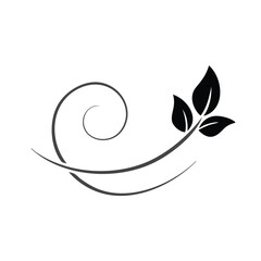 Elegant swirl design with three leaves floral ornament