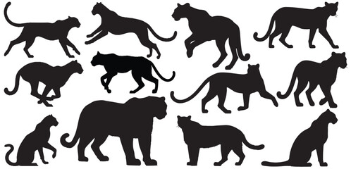 Silhouette of Jaguar Leopard Puma Lion Panther Cheetah Tiger vector illustration isolated on white background