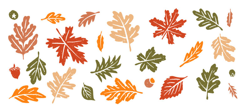 Doodle Autumn Leaves Clip Art for, fall maple leaf, dry leaf, autumn trees, falling leaves background, flower vector, autumn leaves icon, or leaf logo in svg vector 