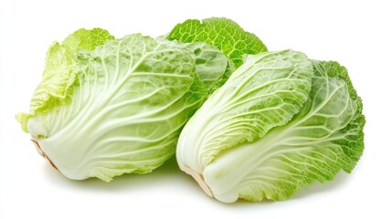 Napa cabbage isolated on white background