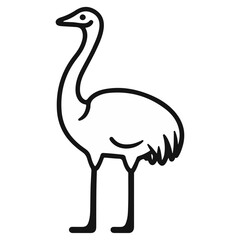 Fototapeta premium ostrich, animal, vector, transparent background, bird, wildlife, beak, wild, zoo, feather, nature, feathers, large, big, fauna, birds, isolated, neck, farm