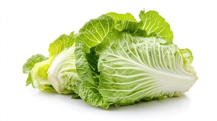 Fresh chinese cabbage isolated on white background with copy space. Perfect for design element, fresh vegetable concept or any commercial use. Clipping path.