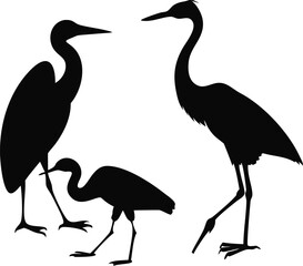 vector illustration of a crane