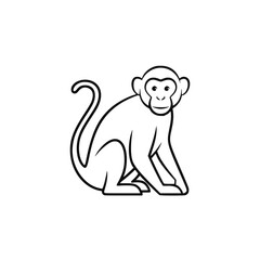 Fototapeta premium Monkey illustration, line art style, black and white, for zoology education