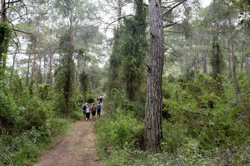 Fototapeta premium Group of hikers hiking in a nature trail. People trekking outdoors. Active healthy lifestyle
