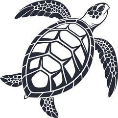 Elegant vector illustration of a detailed sea turtle in a minimalistic and modern design
