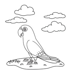 Coloring book Hand Hand-drawn parrot coloring book, Illustration 