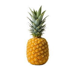 Fototapeta premium pineapple on white
