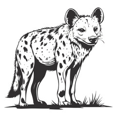 Fototapeta premium hyena, animal, vector, transparent background, mammal, wildlife, nature, zoo, isolated, canine, predator, breed, safari, wild, symbol