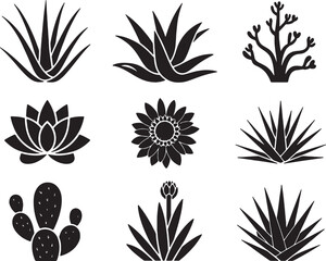 Desert plant silhouettes botanical collection