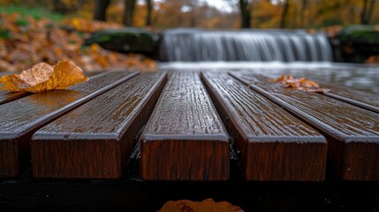 Autumnal wooden walkway over a tranquil stream