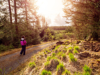 A woman in a purple jacket and dark pants walks on a dirt narrow road in a forest park. The road is...