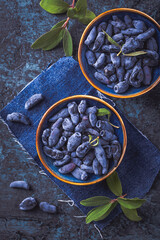 Honeysuckle berries in a bowl on blue background (Lonicera caerulea)