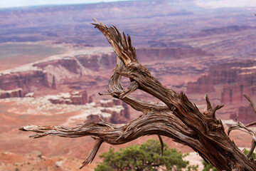 View at Canyonlands National Park, USA