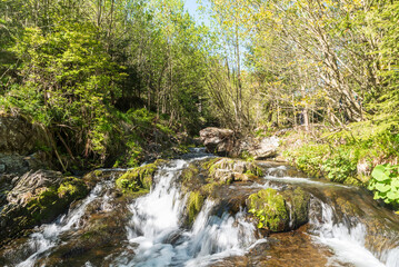 Rapids on Bila Opava river bellow Praded hill in Jeseniky mountains in Czech republic