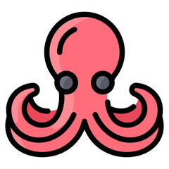 Octopus