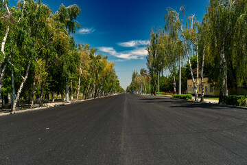 Newly completed asphalt surface stretches through a tree-lined street, showcasing recent road construction and paving activity, with smooth black pavement and no active equipment visible